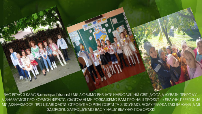 ВАС ВІТАЄ 3 КЛАС Биковецької гімназії ! МИ ЛЮБИМО ВИВЧАТИ НАВКОЛИШНІЙ СВІТ, ДОСЛІДЖУВАТИ ПРИРОДУ І ДІЗНАВАТИСЯ ПРО КОРИСНІ ФРУКТИ. СЬОГОДНІ МИ РОЗКАЖЕМО ВАМ ПРО НАШ ПРОЄКТ – « ЯБЛУЧНІ ПЕРЕГОНИ»! МИ ДІЗНАЄМОСЯ ПРО ЦІКАВІ ФАКТИ, СПРОБУЄМО РІЗНІ СОРТИ ТА З’ЯСУЄМО, ЧОМУ ЯБЛУКА ТАКІ ВАЖЛИВІ ДЛЯ ЗДОРОВ'Я. ЗАПРОШУЄМО ВАС У НАШУ ЯБЛУЧНУ ПОДОРОЖ!