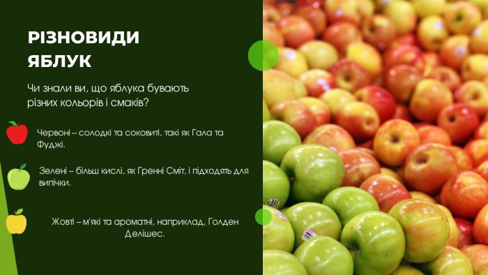Червоні – солодкі та соковиті, такі як Гала та Фуджі. Зелені – більш кислі, як Гренні Сміт, і підходять для випічки. Жовті – м'які та ароматні, наприклад, Голден Делішес. РІЗНОВИДИ ЯБЛУКЧи знали ви, що яблука бувають різних кольорів і смаків?