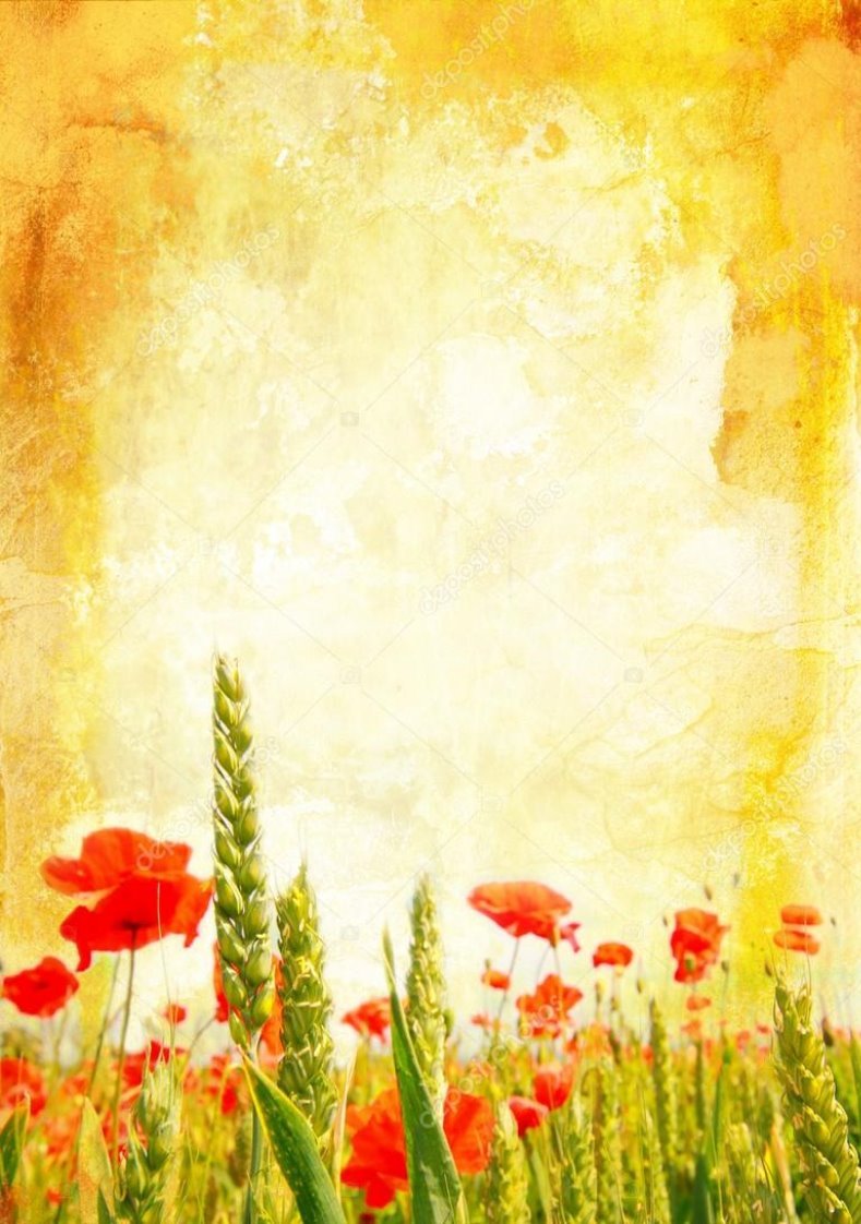 E:\depositphotos_6424202-Beautiful-vintage-background-with-poppies.jpg