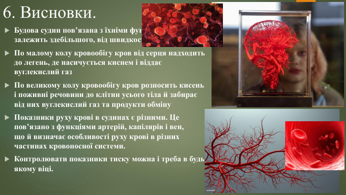 6. Висновки. Будова судин пов’язана з їхніми функціями і залежить здебільшого, від швидкості та тиску кровіПо малому колу кровообігу кров від серця надходить до легень, де насичується киснем і віддає вуглекислий газ. По великому колу кровообігу кров розносить кисень і поживні речовини до клітин усього тіла й забирає від них вуглекислий газ та продукти обміну. Показники руху крові в судинах є різними. Це пов’язано з функціями артерій, капілярів і вен, що й визначає особливості руху крові в різних частинах кровоносної системи. Контролювати показники тиску можна і треба в будь якому віці.