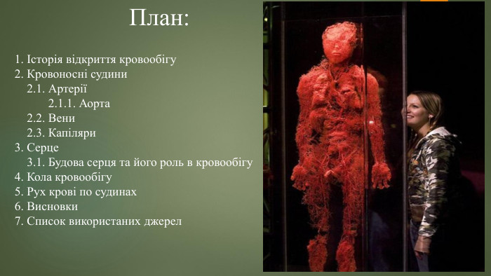  План:1. Історія відкриття кровообігу2. Кровоносні судини 2.1. Артерії 2.1.1. Аорта 2.2. Вени 2.3. Капіляри3. Серце 3.1. Будова серця та його роль в кровообігу4. Кола кровообігу5. Рух крові по судинах6. Висновки7. Список використаних джерел