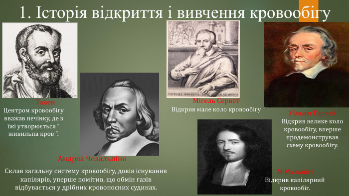 1. Історія відкриття і вивчення кровообігу Андреа Чезальпіно. Склав загальну систему кровообігу, довів існування капілярів, уперше помітив, що обмін газів відбувається у дрібних кровоносних судинах. Гален. Центром кровообігу вважав печінку, де з їжі утворюється “ живильна кров ”. Мігель Сервет. Відкрив мале коло кровообігу. Уільям Гарвей. Відкрив велике коло кровообігу, вперше продемонстрував схему кровообігу. М. МальпігіВідкрив капілярний кровообіг.