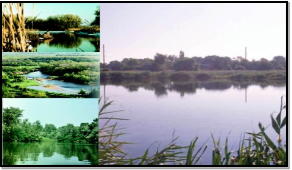 Річки та ставки на Дніпропетровщині