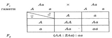 https://subject.com.ua/different/formula/formula.files/image723.jpg