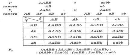 https://subject.com.ua/different/formula/formula.files/image724.jpg