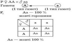 https://subject.com.ua/lesson/biology/10klas_2/10klas_2.files/image018.jpg