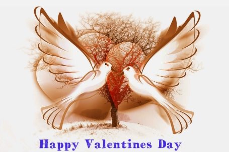 http://2.bp.blogspot.com/-fyaVTebMtSU/VNIJus6uLLI/AAAAAAAAA68/BU7SQ8NYLUM/s1600/Happy-Valentines-Day-Dove.jpg