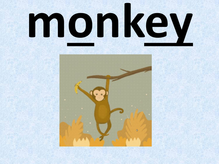monkey