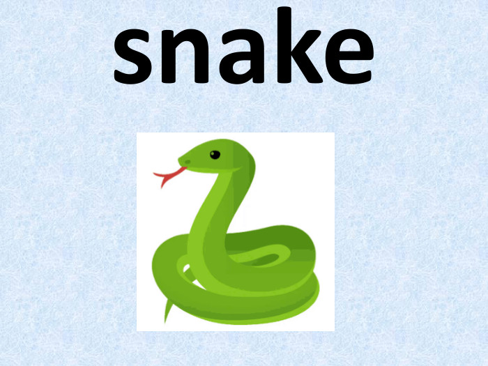 snake