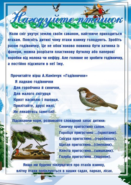 http://newsoftik.ucoz.ru/kalendar/zima/pokormyte_birds.jpg
