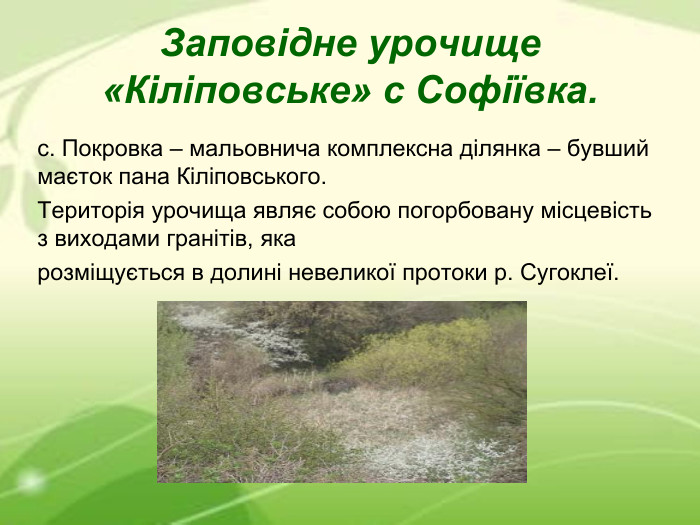 Заповідне урочище «Кіліповське» с Софіївка. с. Покровка – мальовнича комплексна ділянка – бувший маєток пана Кіліповського. Територія урочища являє собою погорбовану місцевість з виходами гранітів, яка розміщується в долині невеликої протоки р. Сугоклеї. 
