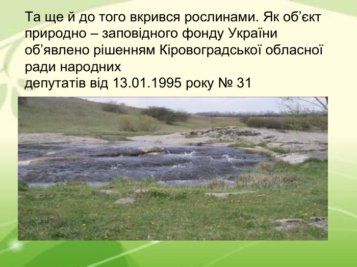 Та ще й до того вкрився рослинами. Як об’єкт природно – заповідного фонду України об’явлено рішенням Кіровоградської обласної ради народних депутатів від 13.01.1995 року № 31  	 