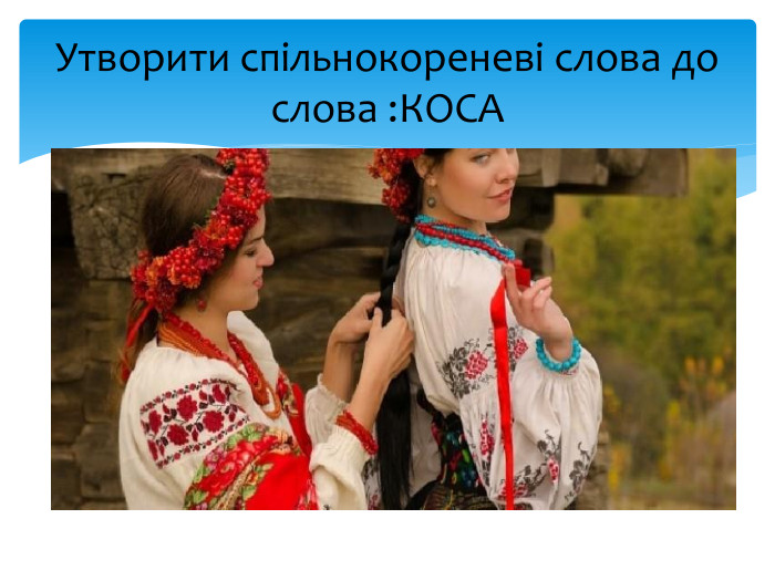 Утворити спільнокореневі слова до слова : КОСА