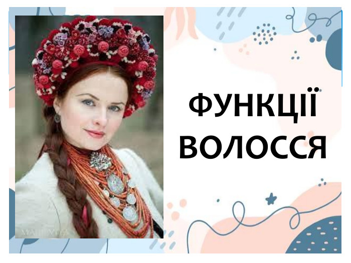 ФУНКЦІЇ ВОЛОССЯ