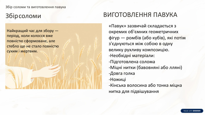 Збір соломи та виготовлення павука. Збір соломи. ВИГОТОВЛЕННЯ ПАВУКА«Павук» зазвичай складається з окремих об'ємних геометричних фігур — ромбів (або кубів), які потім з'єднуються між собою в одну велику рухливу композицію.-Необхідні матеріали:-Підготовлена солома-Міцні нитки (бавовняні або лляні)-Довга голка-Ножиці-Кінська волосина або тонка міцна нитка для підвішування. Найкращий час для збору — період, коли колосся вже повністю сформоване, але стебло ще не стало повністю сухим і мертвим.