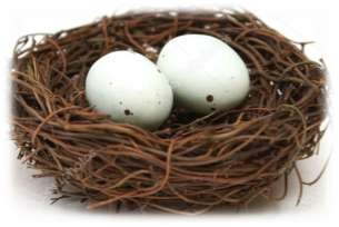 D:\АЛЬОНА\2018\відкритий урок 2019\depositphotos_8699217-stock-photo-birds-nest-with-eggs.jpg