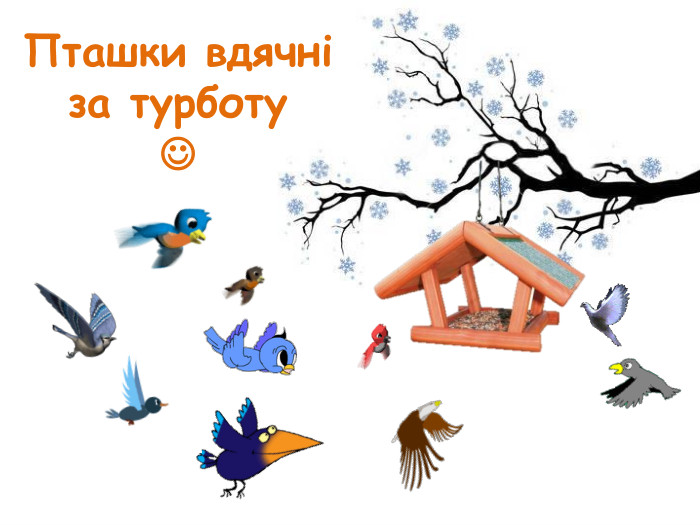 Пташки вдячні  за турботу   