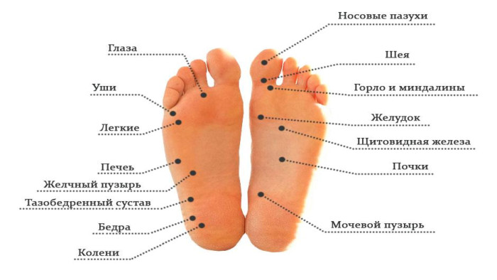Що дає масаж стопи? Розминаючи стопи можна стимулювати лімфатичну систему, покращити кровообіг, зменшити напругу в м'язах не лише ніг, а й усього організму загалом. Масаж стоп допомагає відновити роботу внутрішніх органів, а також дозволяє зменшити біль у суглобах та спині.