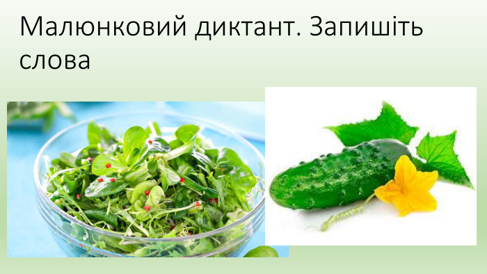 Малюнковий диктант. Запишіть слова