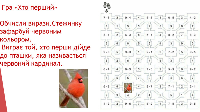  Гра «Хто перший»Обчисли вирази. Стежинку зафарбуй червоним кольором. Виграє той, хто перши дійде до пташки, яка називається червоний кардинал.