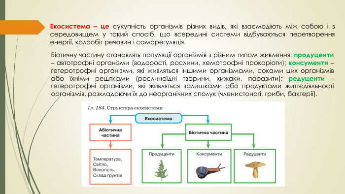 Екосистема – це сукупність організмів різних видів, які взаємодіють між собою і з середовищем у такий спосіб, що всередині системи відбуваються перетворення енергії, колообіг речовин і саморегуляція. Біотичну частину становлять популяції організмів з різним типом живлення: продуценти – автотрофні організми (водорості, рослини, хемотрофні прокаріоти); консументи – гетеротрофні організми, які живляться іншими організмами, соками цих організмів або їхніми рештками (рослиноїдні тварини, хижаки, паразити); редуценти – гетеротрофні організми, які живляться залишками або продуктами життєдіяльності організмів, розкладаючи їх до неорганічних сполук (членистоногі, гриби, бактерії). 