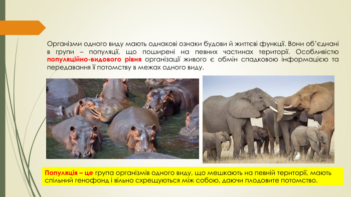 Організми одного виду мають однакові ознаки будови й життєві функції. Вони об’єднані в групи – популяції, що поширені на певних частинах території. Особливістю популяційно-видового рівня організації живого є обмін спадковою інформацією та передавання її потомству в межах одного виду. Популяція – це група організмів одного виду, що мешкають на певній території, мають спільний генофонд і вільно схрещуються між собою, даючи плодовите потомство. 