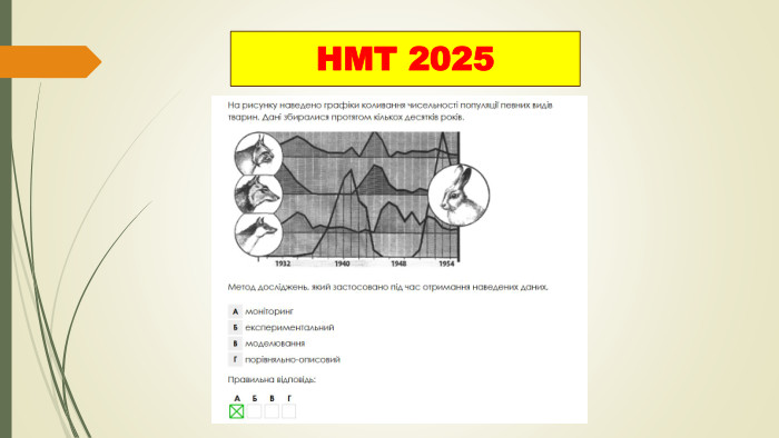 НМТ 2025