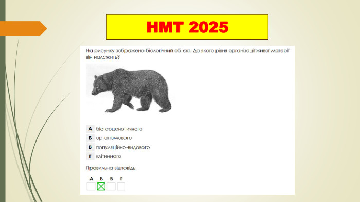 НМТ 2025