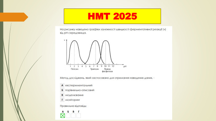 НМТ 2025