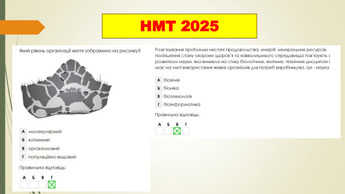 НМТ 2025