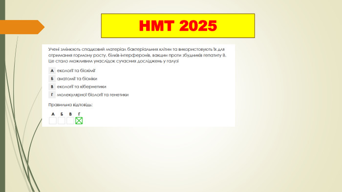 НМТ 2025