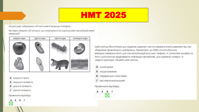НМТ 2025