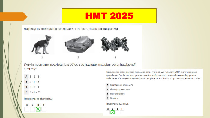 НМТ 2025