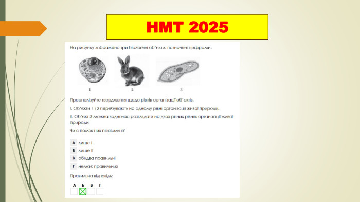 НМТ 2025