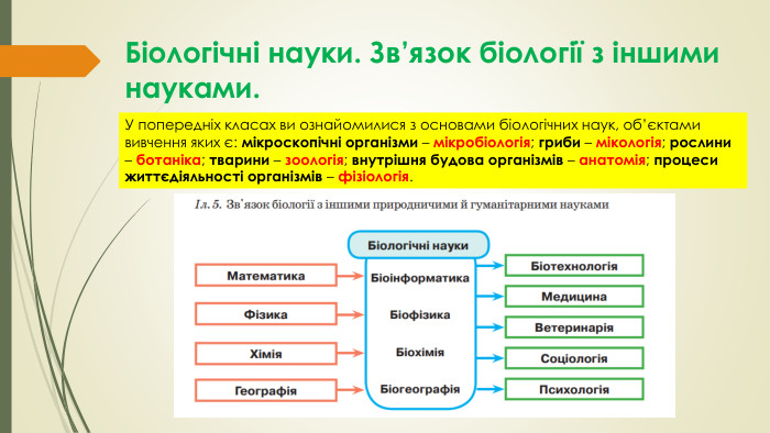 Біологічні науки. Зв’язок біології з іншими науками. У попередніх класах ви ознайомилися з основами біологічних наук, об’єктами вивчення яких є: мікроскопічні організми – мікробіологія; гриби – мікологія; рослини – ботаніка; тварини – зоологія; внутрішня будова організмів – анатомія; процеси життєдіяльності організмів – фізіологія.
