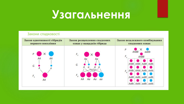 Узагальнення 