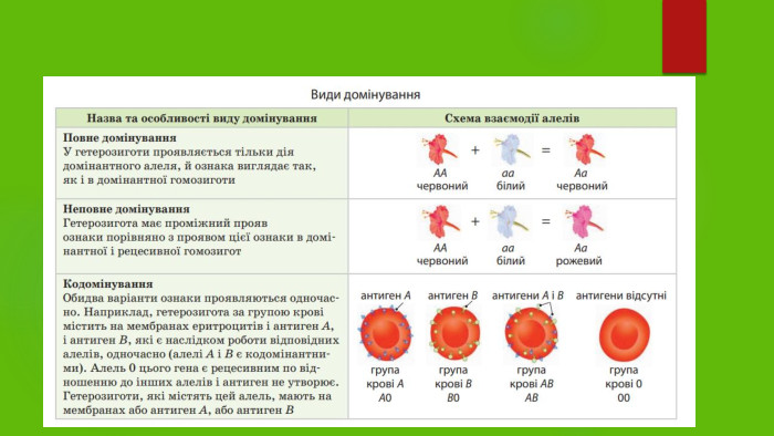 Закони Менделя
