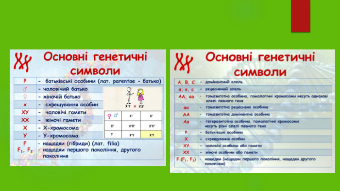 Складання схем схрещування
