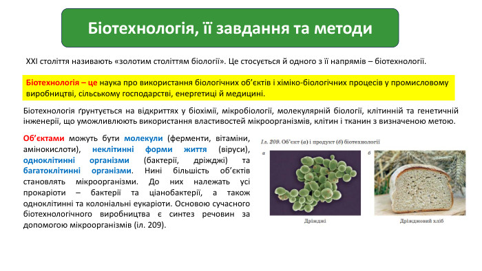 Біотехнологія, її завдання та методи. XXI століття називають «золотим століттям біології». Це стосується й одного з її напрямів – біотехнології. Біотехнологія – це наука про використання біологічних об’єктів і хіміко-біологічних процесів у промисловому виробництві, сільському господарстві, енергетиці й медицині. Біотехнологія ґрунтується на відкриттях у біохімії, мікробіології, молекулярній біології, клітинній та генетичній інженерії, що уможливлюють використання властивостей мікроорганізмів, клітин і тканин з визначеною метою. Об’єктами можуть бути молекули (ферменти, вітаміни, амінокислоти), неклітинні форми життя (віруси), одноклітинні організми (бактерії, дріжджі) та багатоклітинні організми. Нині більшість об’єктів становлять мікроорганізми. До них належать усі прокаріоти – бактерії та ціанобактерії, а також одноклітинні та колоніальні еукаріоти. Основою сучасного біотехнологічного виробництва є синтез речовин за допомогою мікроорганізмів (іл. 209).