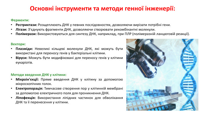 Основні інструменти та методи генної інженерії: Ферменти: Рестриктази: Розщеплюють ДНК у певних послідовностях, дозволяючи вирізати потрібні гени. Лігази: З'єднують фрагменти ДНК, дозволяючи створювати рекомбінантні молекули. Полімерази: Використовуються для синтезу ДНК, наприклад, при ПЛР (полімеразній ланцюговій реакції). Вектори: Плазміди: Невеликі кільцеві молекули ДНК, які можуть бути використані для переносу генів у бактеріальні клітини. Віруси: Можуть бути модифіковані для переносу генів у клітини еукаріотів. Методи введення ДНК у клітини: Мікроін'єкції: Пряме введення ДНК у клітину за допомогою мікроскопічних голок. Електропорація: Тимчасове створення пор у клітинній мембрані за допомогою електричного поля для проникнення ДНК. Ліпофекція: Використання ліпідних частинок для обволікання ДНК та її перенесення у клітини. 