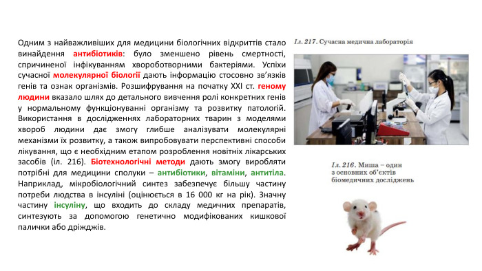 Одним з найважливіших для медицини біологічних відкриттів стало винайдення антибіотиків: було зменшено рівень смертності, спричиненої інфікуванням хвороботворними бактеріями. Успіхи сучасної молекулярної біології дають інформацію стосовно зв’язків генів та ознак організмів. Розшифрування на початку ХХІ ст. геному людини вказало шлях до детального вивчення ролі конкретних генів у нормальному функціонуванні організму та розвитку патологій. Використання в дослідженнях лабораторних тварин з моделями хвороб людини дає змогу глибше аналізувати молекулярні механізми їх розвитку, а також випробовувати перспективні способи лікування, що є необхідним етапом розроблення новітніх лікарських засобів (іл. 216). Біотехнологічні методи дають змогу виробляти потрібні для медицини сполуки – антибіотики, вітаміни, антитіла. Наприклад, мікробіологічний синтез забезпечує більшу частину потреби людства в інсуліні (оцінюється в 16 000 кг на рік). Значну частину інсуліну, що входить до складу медичних препаратів, синтезують за допомогою генетично модифікованих кишкової палички або дріжджів.