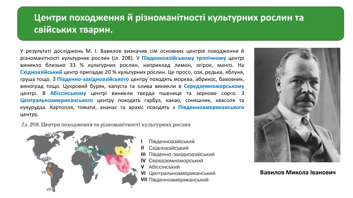 Центри походження й різноманітності культурних рослин та свійських тварин. У результаті досліджень М. І. Вавилов визначив сім основних центрів походження й різноманітності культурних рослин (іл. 208). У Південноазійському тропічному центрі виникло близько 33 % культурних рослин, наприклад лимон, огірок, манго. На Східноазійський центр припадає 20 % культурних рослин. Це просо, соя, редька, яблуня, груша тощо. З Південно-західноазійського центру походять морква, абрикос, бавовник, виноград тощо. Цукровий буряк, капуста та олива виникли в Середземноморському центрі. В Абіссінському центрі виникли тверда пшениця та зернове сорго. З Центральноамериканського центру походять гарбуз, какао, соняшник, квасоля та кукурудза. Картопля, томати, ананас та арахіс походять з Південноамериканського центру. Вавилов Микола Іванович 