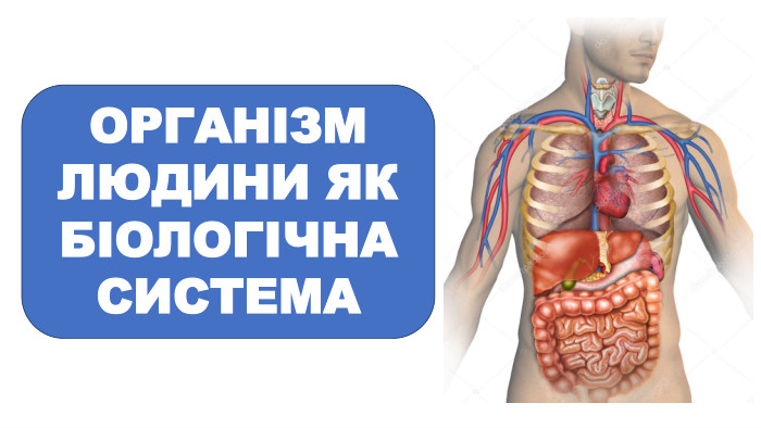 ОРГАНІЗМ ЛЮДИНИ ЯК БІОЛОГІЧНА СИСТЕМА