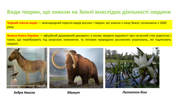 Види тварин, що зникли на Землі внаслідок діяльності людини. Чорний список видів — міжнародний перелік видів рослин і тварин, які зникли з лиця Землі, починаючи з 1600 року. Зелена Книга України — офіційний державний документ, в якому зведено відомості про сучасний стан рідкісних і таких, що перебувають під загрозою зникнення, та типових природних рослинних угруповань, які підлягають охороні. Зебра Квагга. Мамут. Латаття біле