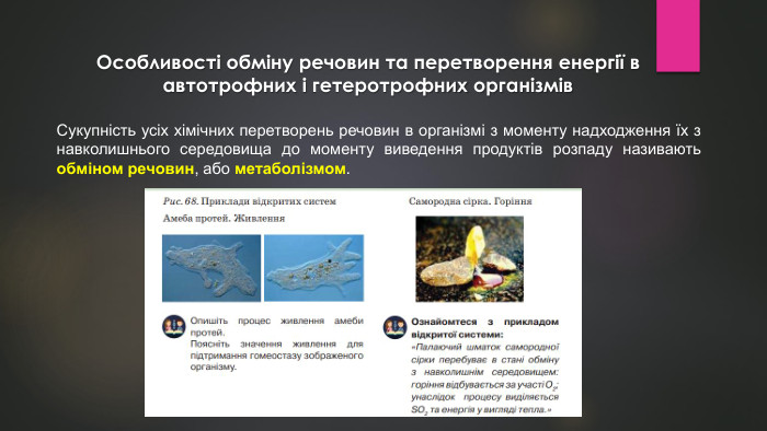 Сукупність усіх хімічних перетворень речовин в організмі з моменту надходження їх з навколишнього середовища до моменту виведення продуктів розпаду називають обміном речовин, або метаболізмом. Особливості обміну речовин та перетворення енергії в автотрофних і гетеротрофних організмів