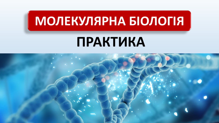 МОЛЕКУЛЯРНА БІОЛОГІЯПРАКТИКА