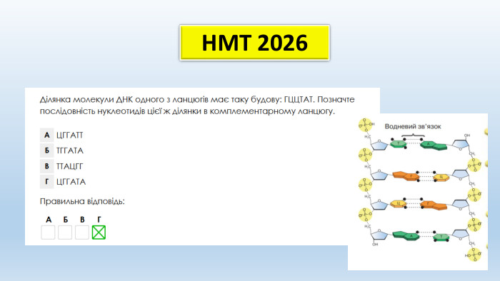 НМТ 2026