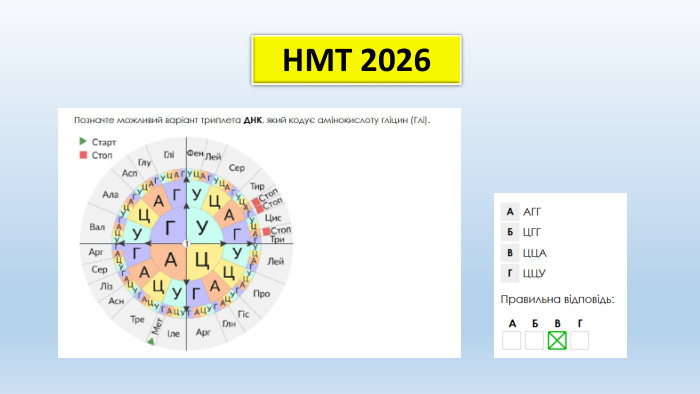 НМТ 2026
