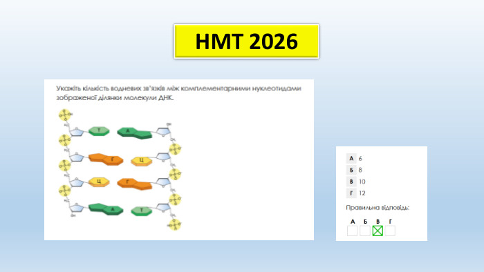 НМТ 2026