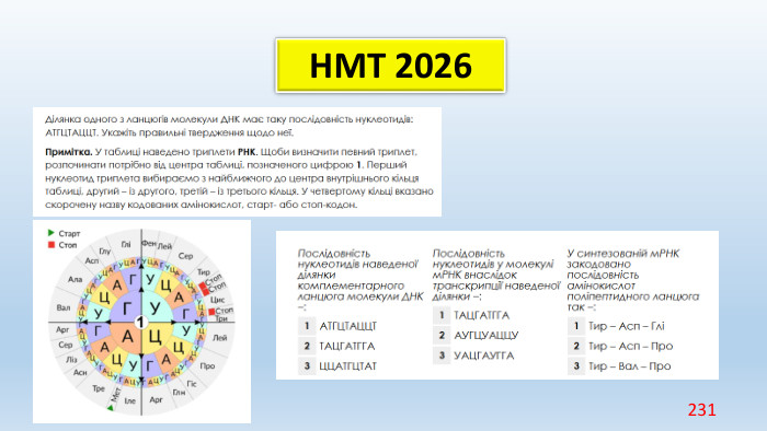 НМТ 2026231 